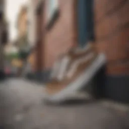 Stylish leopard Vans showcased in an urban setting