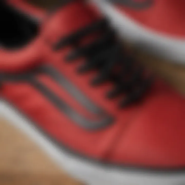 Close-up of the Vans Old Skool design details