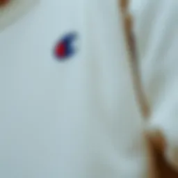Close-up of the fabric texture of the Cream Champion Sweatshirt