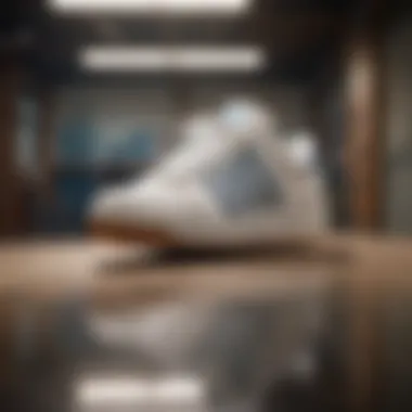 Exploring the K Swiss Court Pro 2: A Comprehensive Guide for Skaters Summary Exploring the K Swiss Court Pro 2: A Comprehensive Guide for Skaters Summary