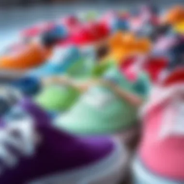 Diverse Styles of Neff Shoes An array of Neff Shoes in vibrant colors and styles