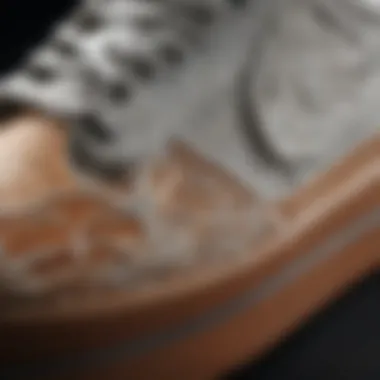 Intricate Design Features Close-up of the intricate design details of a Nike skateboard sneaker