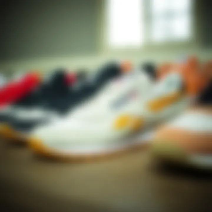 Collection of Reebok C 85 sneakers in various colorways