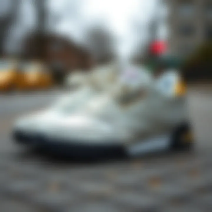 Cultural significance of Reebok C 85 in skateboarding lifestyle