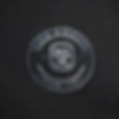 Close-up of Riot Society logo on apparel