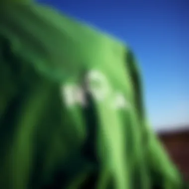 Distinctive Branding of RVCA Green Shirt Close-up of RVCA green shirt's logo and design elements