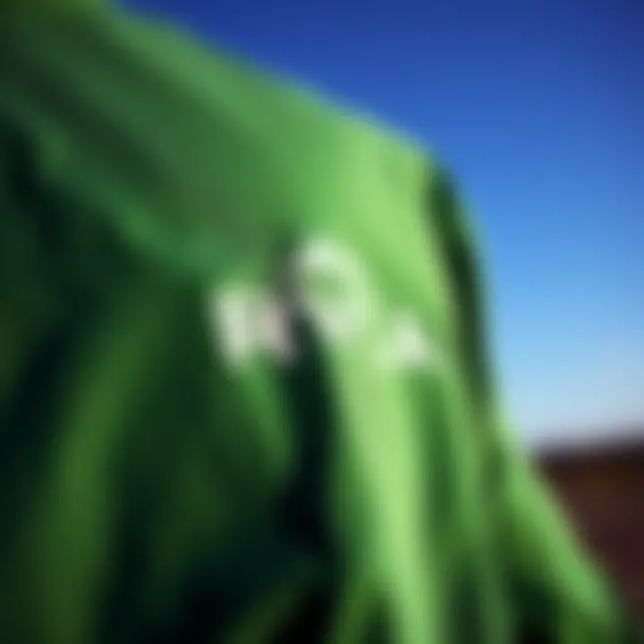 Distinctive Branding of RVCA Green Shirt Close-up of RVCA green shirt's logo and design elements