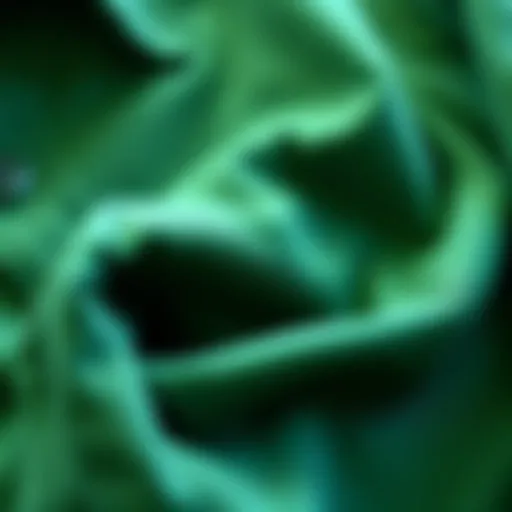 Detailed view of RVCA green shirt showcasing texture and fabric quality