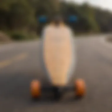 Sleek Design of the Santa Cruz Pintail Longboard Sleek design of the Santa Cruz Pintail Longboard showcasing its smooth curves