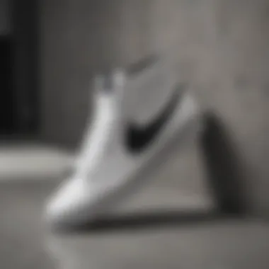 The Intersection of Style and Performance: Exploring White and Black Blazer Mid 77 Trainers Summary